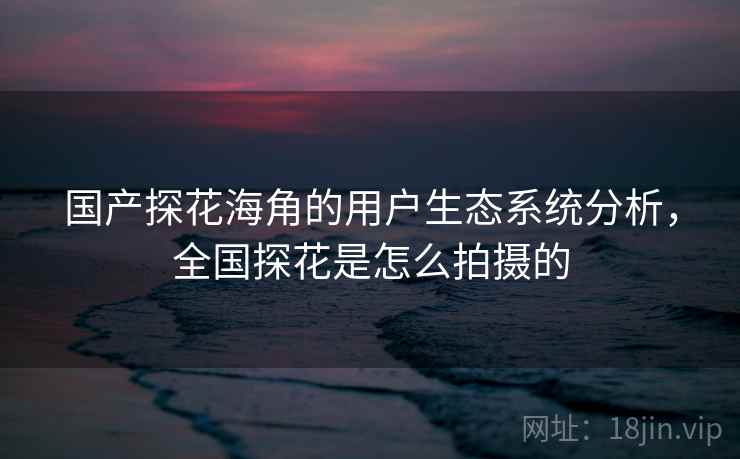 国产探花海角的用户生态系统分析，全国探花是怎么拍摄的