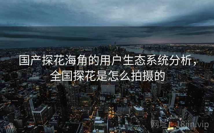 国产探花海角的用户生态系统分析，全国探花是怎么拍摄的
