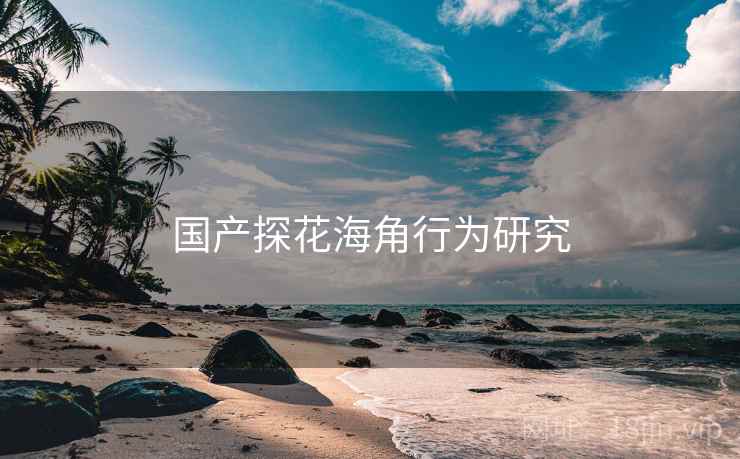 国产探花海角行为研究