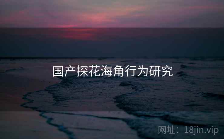 国产探花海角行为研究