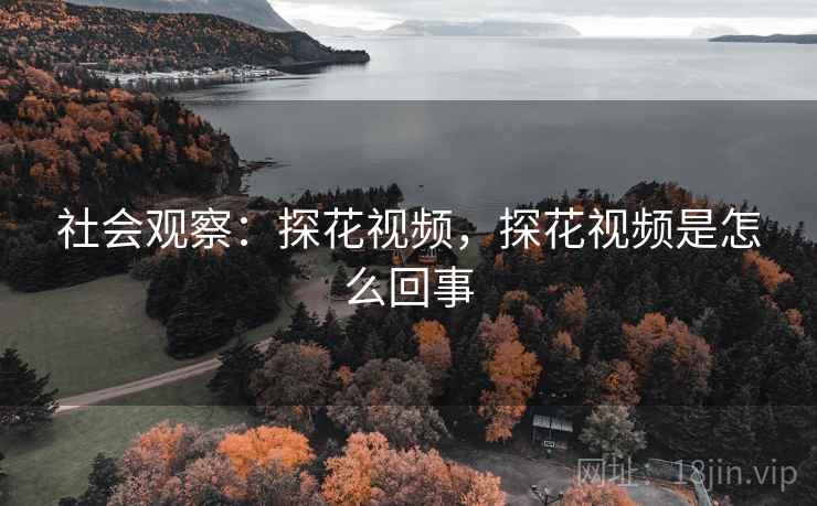 社会观察：探花视频，探花视频是怎么回事