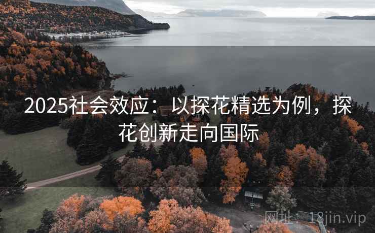 2025社会效应：以探花精选为例，探花创新走向国际