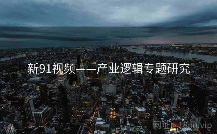 新91视频——产业逻辑专题研究