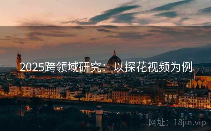 2025跨领域研究：以探花视频为例