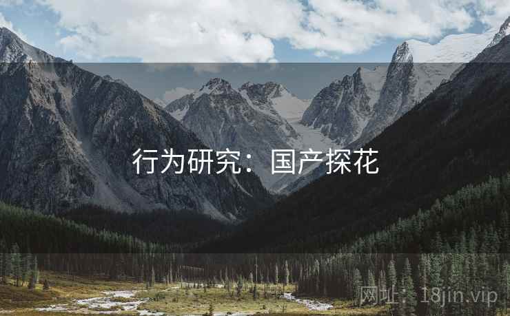 行为研究：国产探花