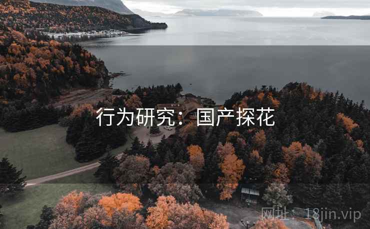 行为研究：国产探花