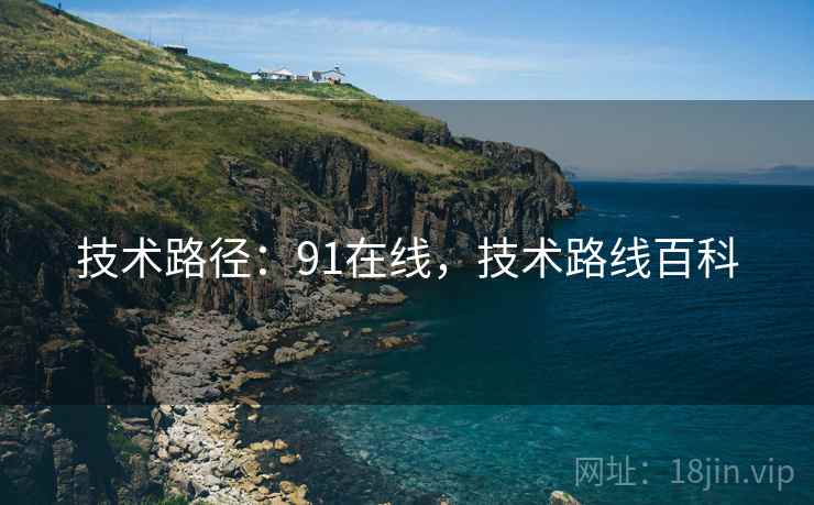 技术路径：91在线，技术路线百科