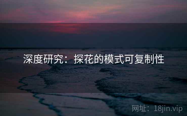 深度研究：探花的模式可复制性