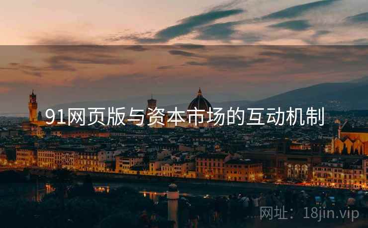 91网页版与资本市场的互动机制