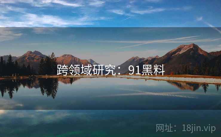 跨领域研究：91黑料