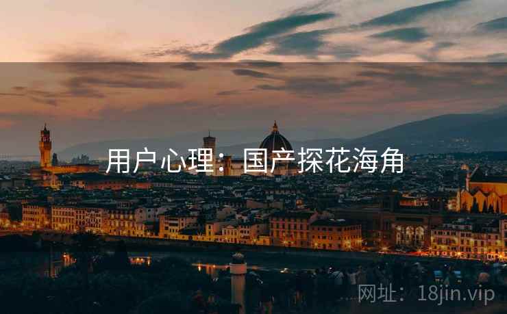 用户心理：国产探花海角