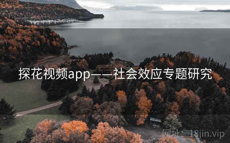 探花视频app——社会效应专题研究
