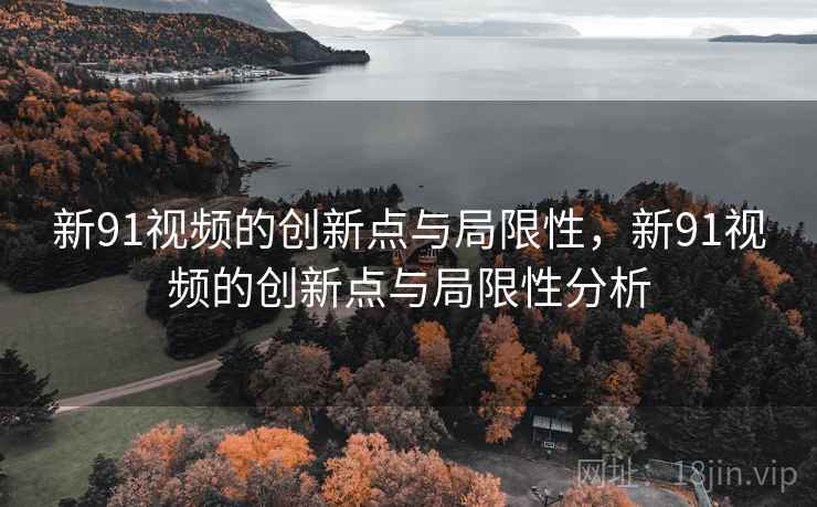 新91视频的创新点与局限性，新91视频的创新点与局限性分析