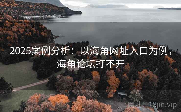 2025案例分析：以海角网址入口为例，海角论坛打不开