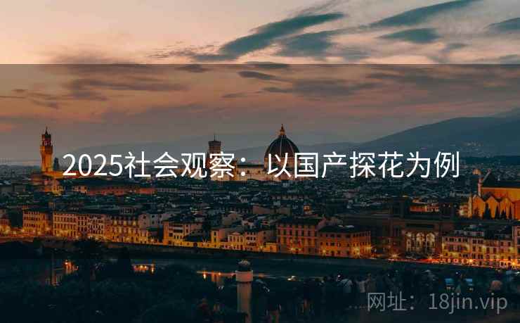 2025社会观察：以国产探花为例
