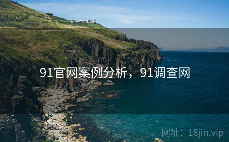 91官网案例分析，91调查网