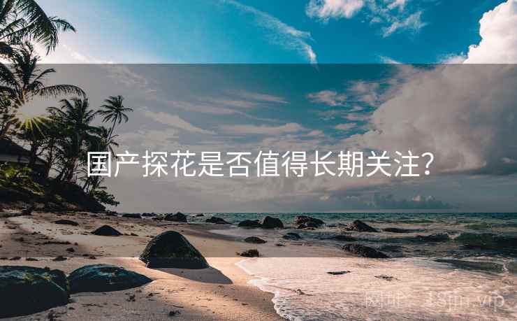国产探花是否值得长期关注？