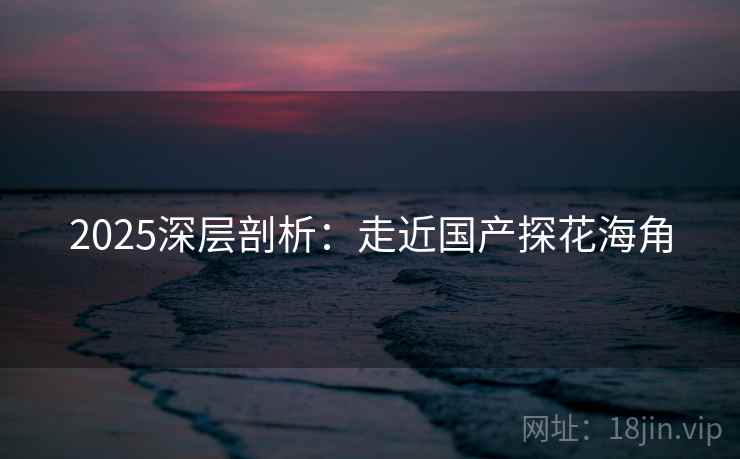 2025深层剖析：走近国产探花海角