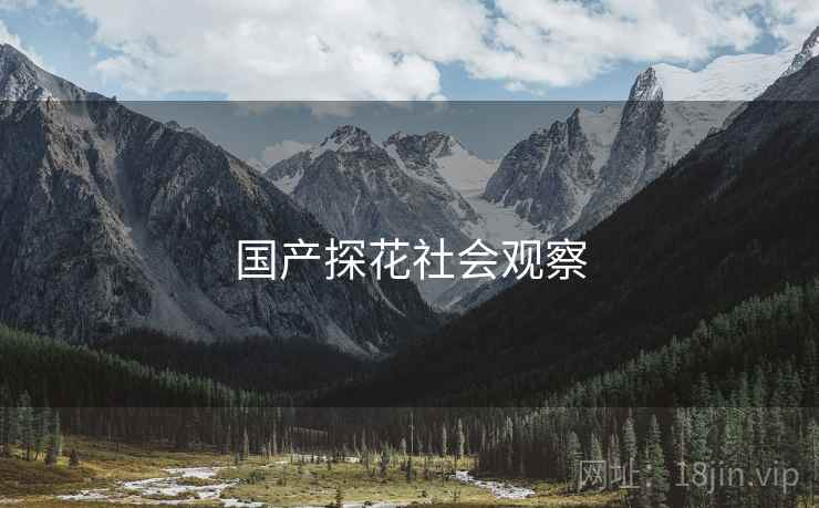 国产探花社会观察