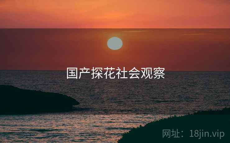 国产探花社会观察