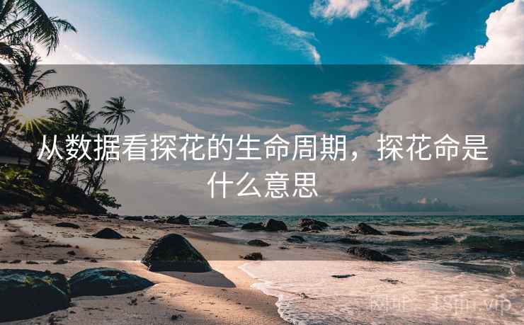 从数据看探花的生命周期，探花命是什么意思