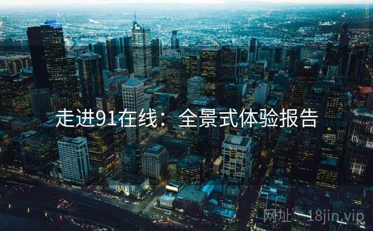 走进91在线：全景式体验报告