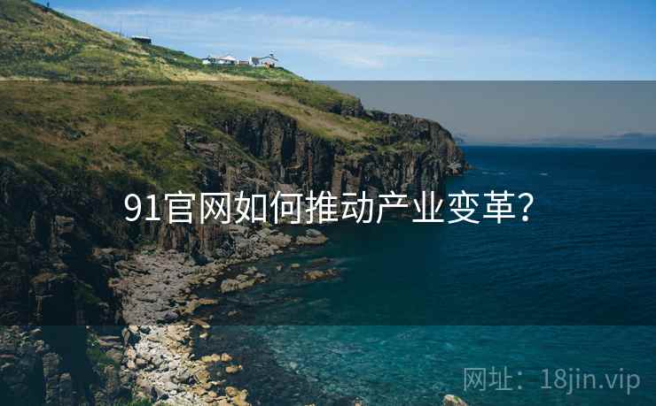 91官网如何推动产业变革？