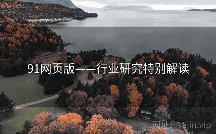 91网页版——行业研究特别解读