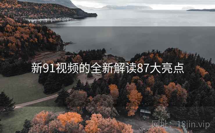 新91视频的全新解读87大亮点