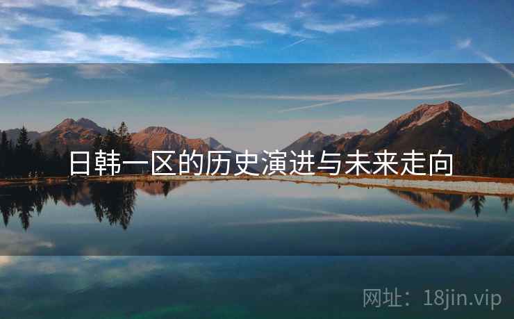 日韩一区的历史演进与未来走向