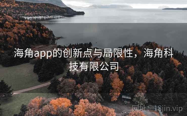 海角app的创新点与局限性，海角科技有限公司