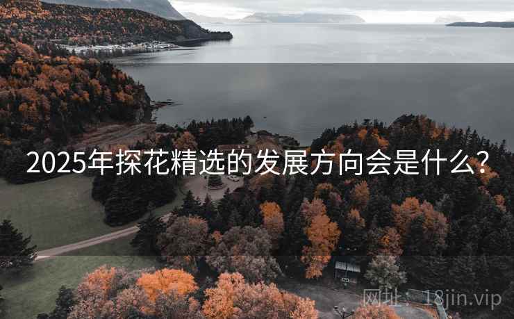 2025年探花精选的发展方向会是什么？