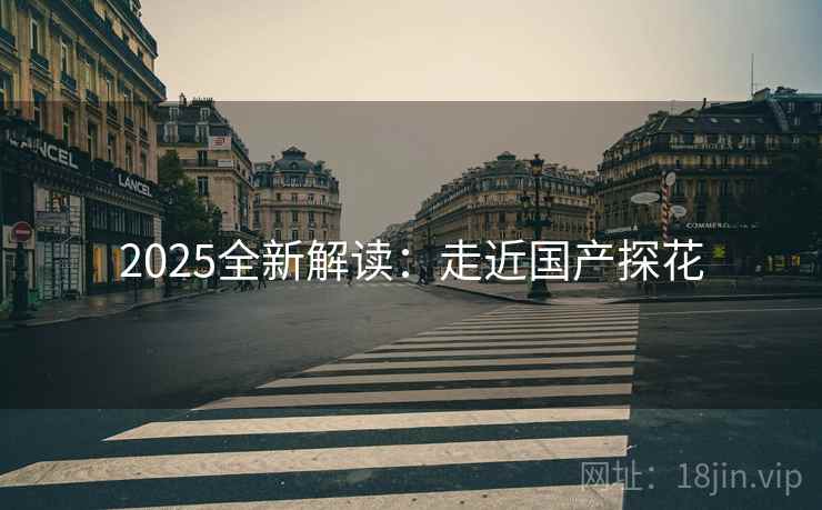 2025全新解读:走近国产探花 2025全新解读:走近国产探花